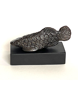 Arowana Balık Siyah