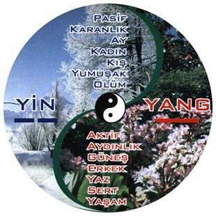 yinyang