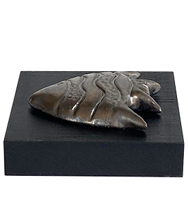 Bronz Balık