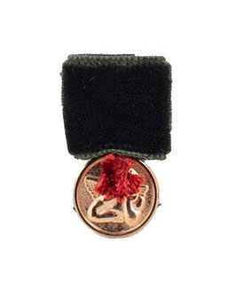 Koru Pin