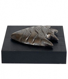 Bronz Balık